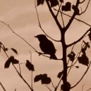 Roughcopies - Waiting