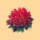 Tom Misch - Twinkle Twinkle