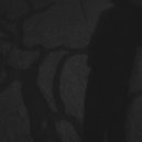 Albert K - In the Cold