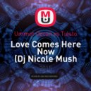 Ummet Ozcan vs Tiesto - Love Comes Here Now (Dj Nicole Mush Up)