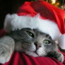 Run DMC - Christmas in Hollis