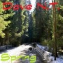 Dave N.T. - Весна