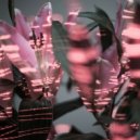 Vada - See It Now (feat. R.O.M)