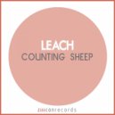 Leach - To Catch A Cloud (Original Mix)