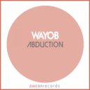 Wayob - The Program (Original Mix)