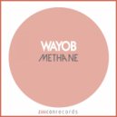 Wayob - Guepardo