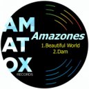 Amazones - Dam
