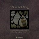Mini linKing - De Getuige Verteld (Original Mix)