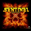 Sentinel - Cosmovision (Original Mix)