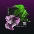 The Upbeats & Shapeshifter - Solitaire