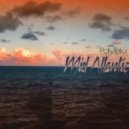 Polytekk - Can You Carry Me