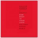 Calvin Harris - How Deep Is Your Love (Halfway House Remix)
