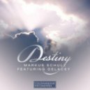 Markus Schulz & Delacey - Destiny