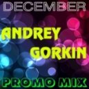 DJ Andrey Gorkin - December Promo Mix 2015 ()