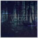 Ollie Crowe & Rich James feat. NK - Voices