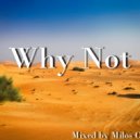 Dj Cvele - Why Not Mix Vol 2