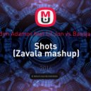LMFAO & Vadim Adamov feat Lil Jon vs Bassjackers & Reez - Shots (Zavala mashup)