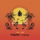 Toucan - Lonely Nights (Original Mix) (Original)