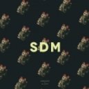 Fabrikate feat. Gillette - SDM
