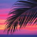 Funk Re-Edit - The Scorpions (Extended Mix)