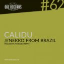 Nekko From Brazil - Calidu (Original Mix)