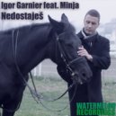Igor Garnier - Nedostajes