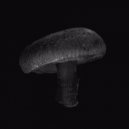 Medasin - Seeing Things (Original mix)