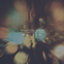 Kaixen - What You Want (Original mix)