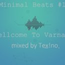 Minimal Beats #14 - Wellcome to Varnamal (mixed by Tex!no)