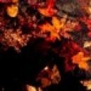 APOLLOPHOTY - The depths of the Ocean