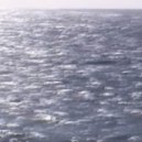 Yung Cortex - Skin Contact