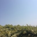 Yung Cortex - On My Mind