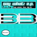 Tim Trip - Say What!