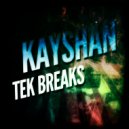 Kayshan - Virus