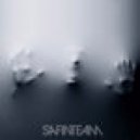 Safinteam - Words That We Never Said...
