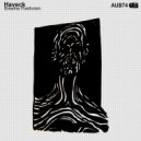 Haveck - The Last Way To The Mart