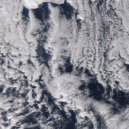 Montell2099 - Possible