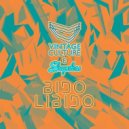 Vintage Culture, Shapeless - Bidolibido