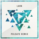Direct - Lark (Pulsate Remix)