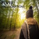 FLVT0 - Hallucinations