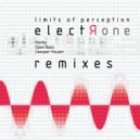 Limits of Perception, DJ Casspar - Houzer - Acidized (DJ Casspar - Houzer Remix)