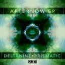 DELTAnine, Prismatic - Brainforest (Original Mix)