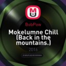 E Ternal Phunkybeetz - Mokelumne Chill (Be easy mix)