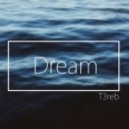 T3reb - Dream (Original mix)