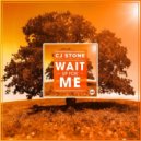 Cj Stone feat. Jonny Rose - Wait Up For Me (Jean Elan & Cj Stone Mix)