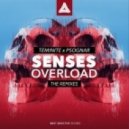 Teminite & Psognar - Senses Overload