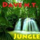 Dave N.T. - Jungle