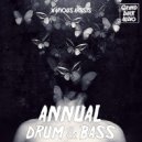 Rizent - Solar Bird (Original mix)