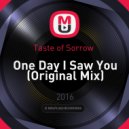 Taste of Sorrow - One Day I Saw You (Original Mix)