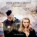 MNEK feat. Zara Larsson - Never Forget You (Fabrix Remix)